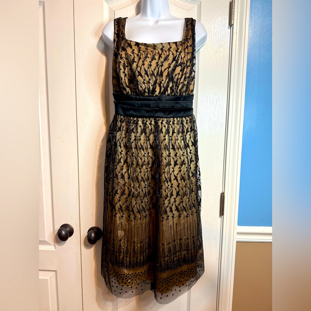 ONYX by Wendye Chaitin Champagne & Black‎ Formal Dress - Size 20W 🌟👗NWT